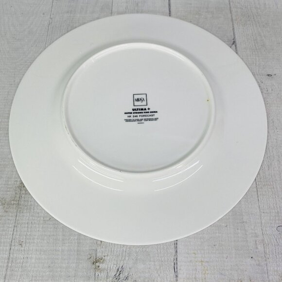 Mikasa HK 246 FORECAST Citrus Strong Chip Resistance China Dinner Plates Set 2 - Picture 5 of 13